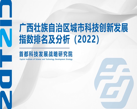 少妇寡妇逼肥床上【成果发布】广西壮族自治区城市科技创新发展指数排名及分析（2022）